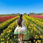 Back view of a woman walking through a yellow tulip field wearing the off-white handpainted tulip short dress by Aankibukis Couture