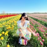 Woman crouching in a yellow tulip field touching pink tulips while wearing a handpainted floral short dress and sunglasses