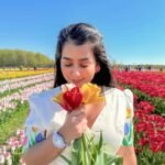 Close-up shot of a woman in a deep-neck off-white cotton dress holding a bouquet of fresh yellow and red tulips