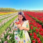 Woman smiling softly while holding a tulip bouquet in a field of red and pink flowers wearing a handpainted off-white dress